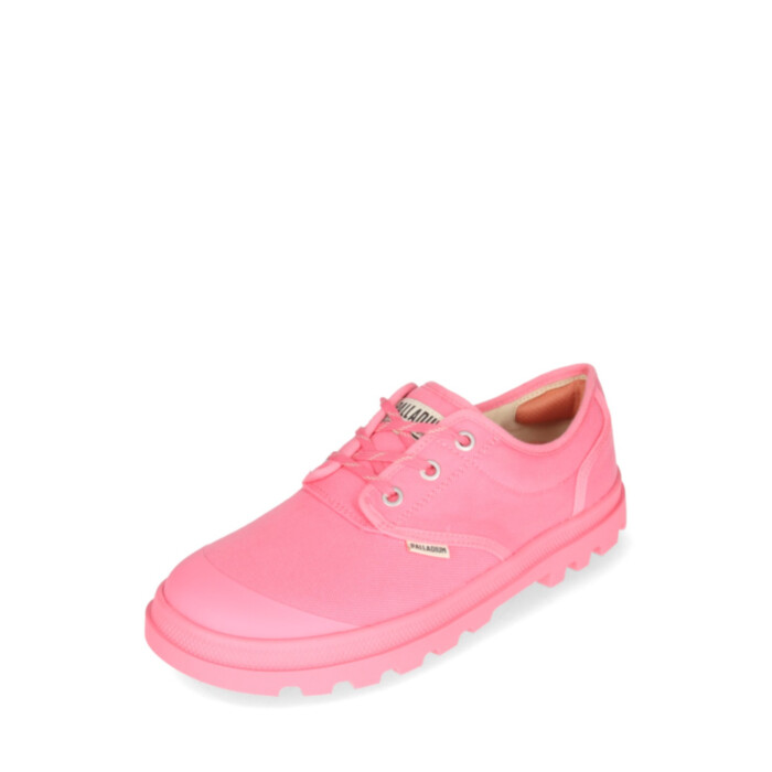 Palladium Kedi