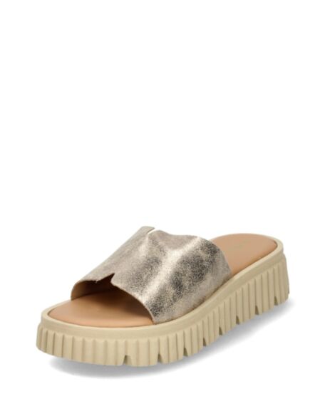 Tamaris Iešļūcenes