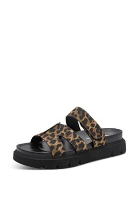 Tamaris Iešļūcenes