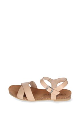 Cosmos Vasaras kurpes