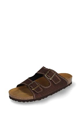 Cosmos Iešļūcenes