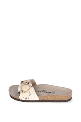 Genuins Iešļūcenes