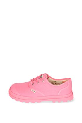 Palladium Kedi