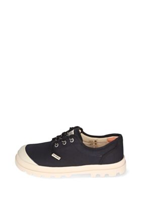 Palladium Kedi