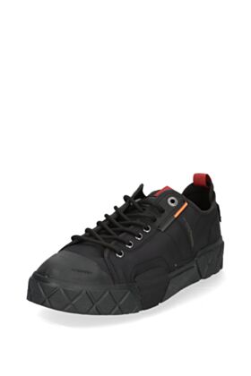 Palladium Kedi
