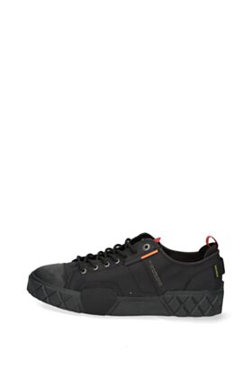 Palladium Kedi