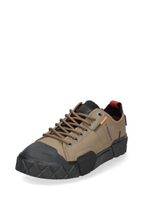Palladium Kedi