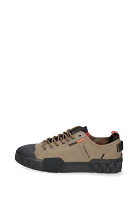 Palladium Kedi
