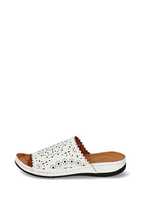 Sempre Iešļūcenes