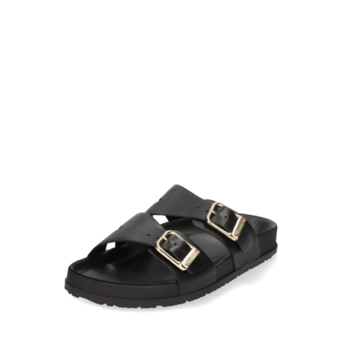 Tamaris Iešļūcenes