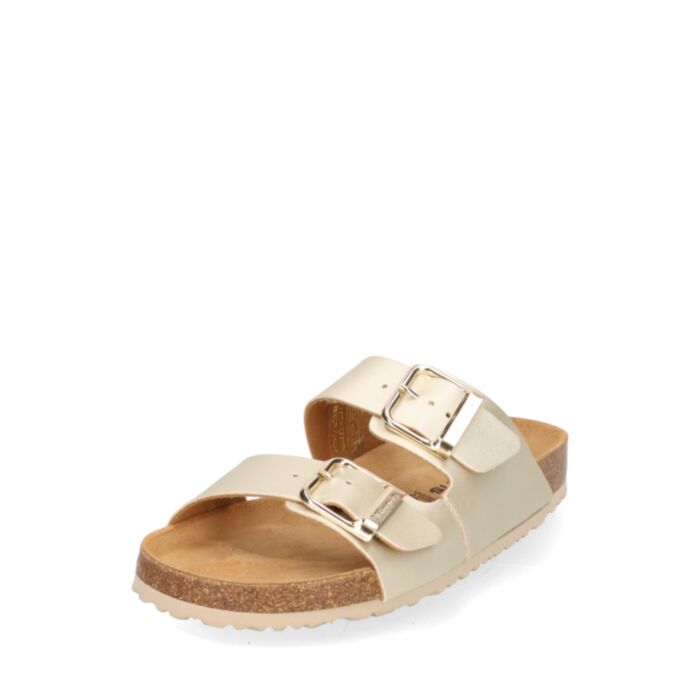 Tamaris Iešļūcenes