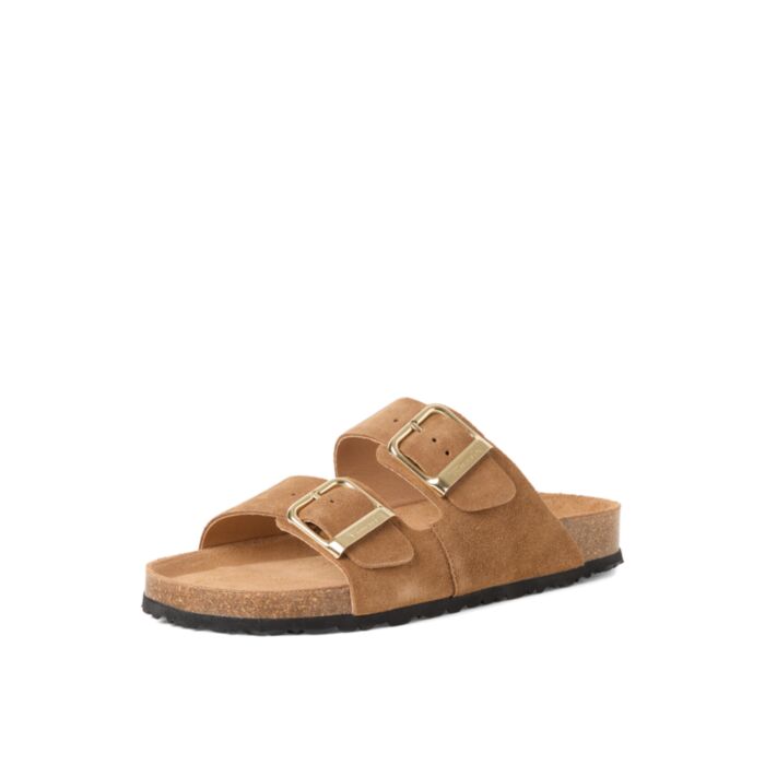 Tamaris Iešļūcenes