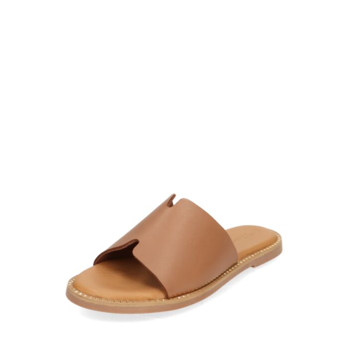 Tamaris Iešļūcenes