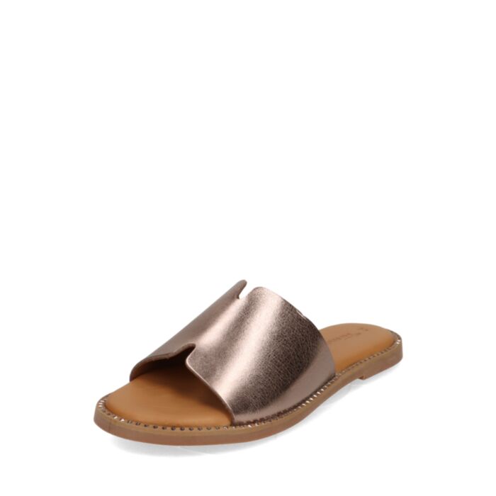 Tamaris Iešļūcenes