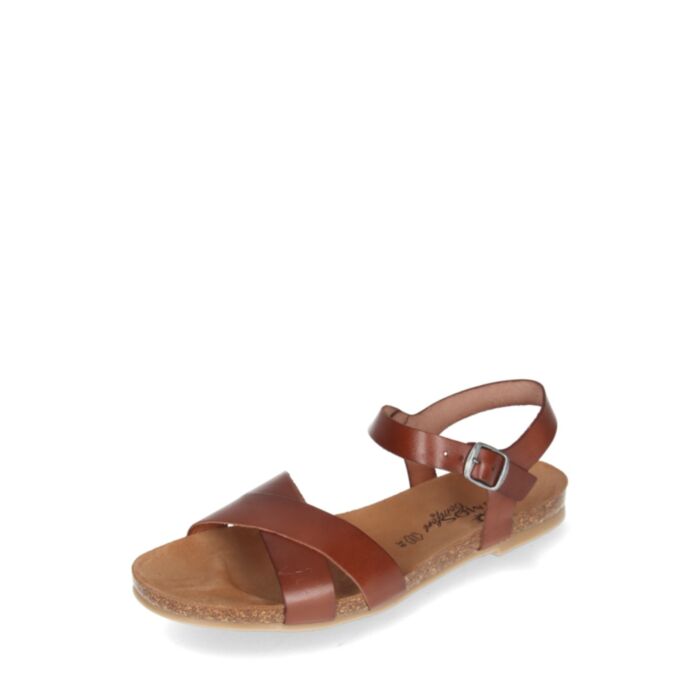 Cosmos Vasaras kurpes