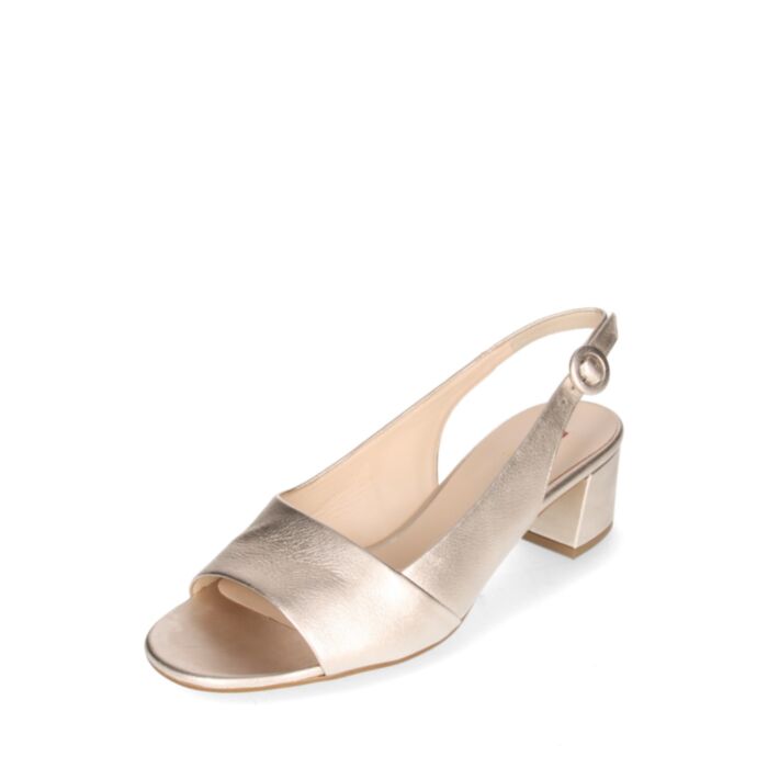 Högl Vasaras kurpes