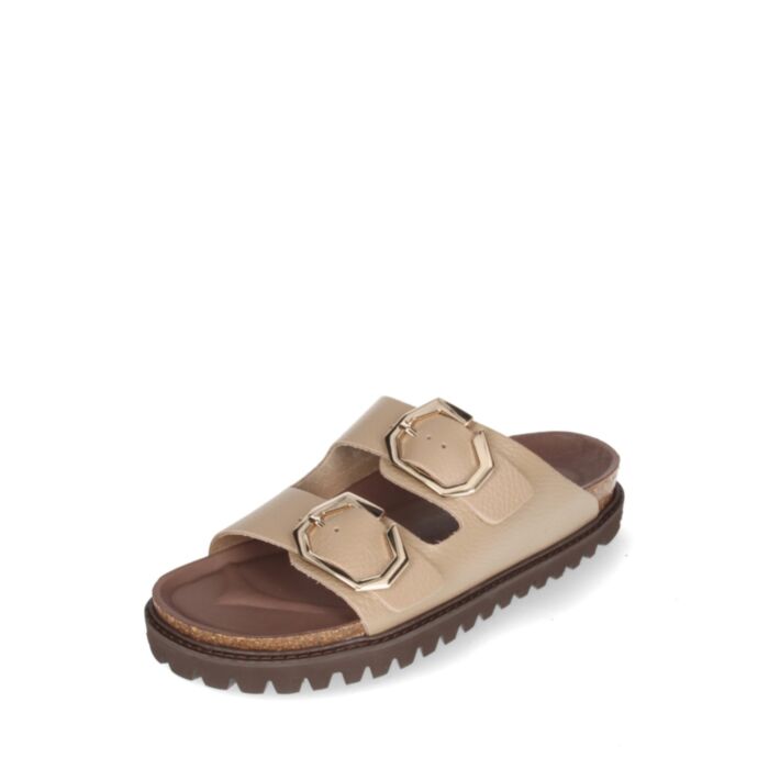 Genuins Iešļūcenes