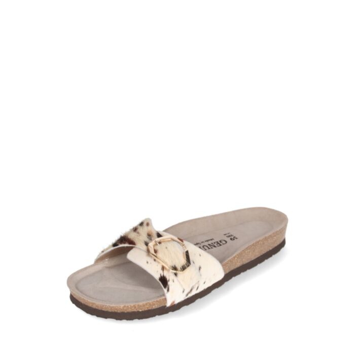 Genuins Iešļūcenes