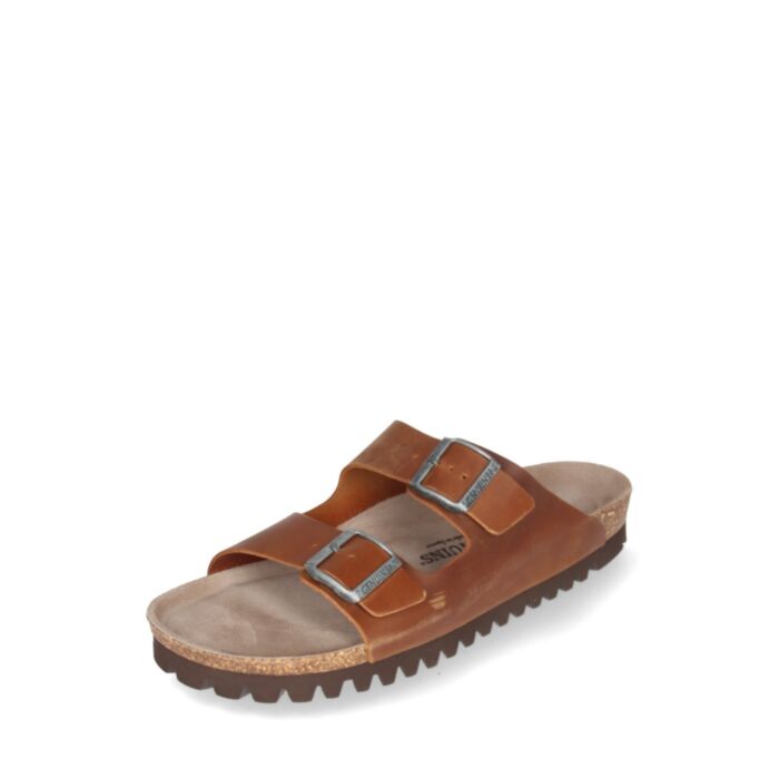 Genuins Iešļūcenes