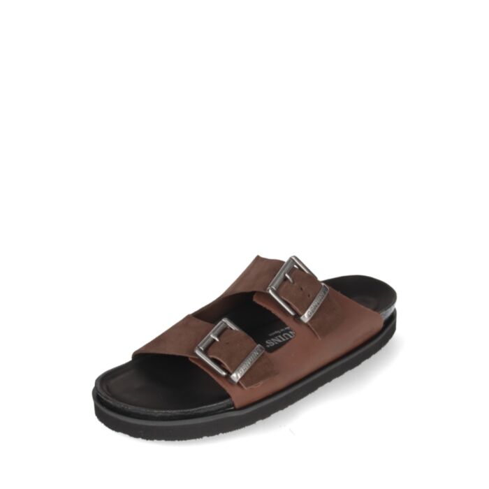 Genuins Iešļūcenes