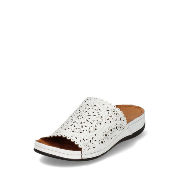 Sempre Iešļūcenes