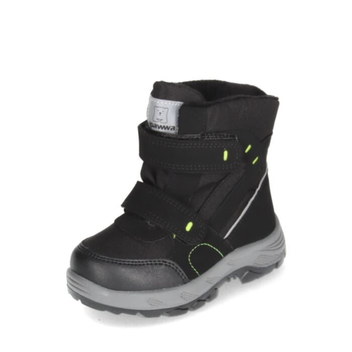 Apawwa Ziemas zābaki