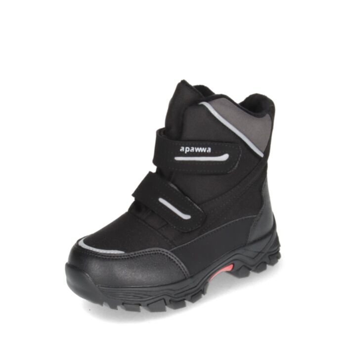 Apawwa Ziemas zābaki